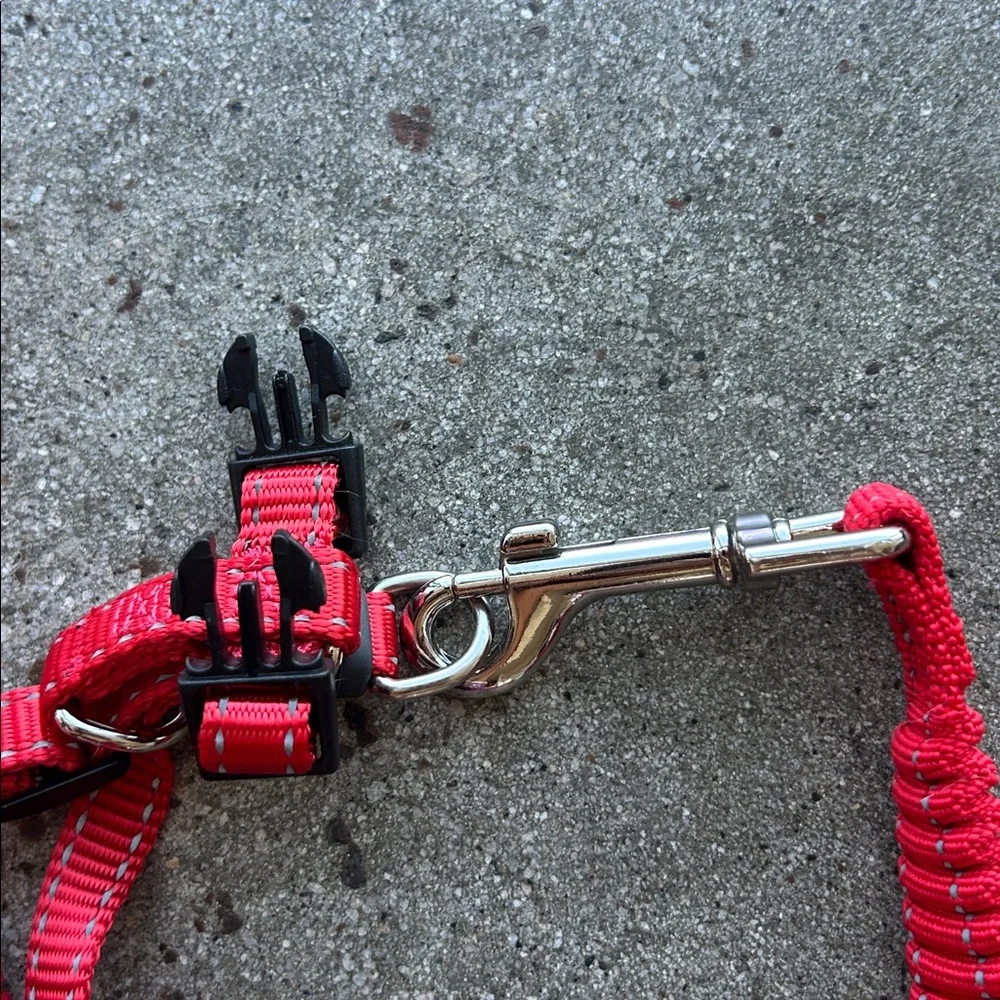 Red Cat Pet Harness and Leash Set